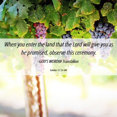 Picture 06 - Exodus 12:25 GW - When you enter the land that the Lord will give - Bible Verse Picture