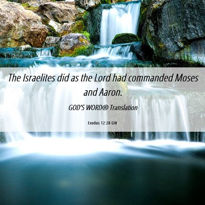 Picture 06 - Exodus 12:28 GW - The Israelites did as the Lord had commanded - Bible Verse Picture