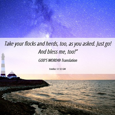 Picture 06 - Exodus 12:32 GW - Take your flocks and herds, too, as you asked. - Bible Verse Picture