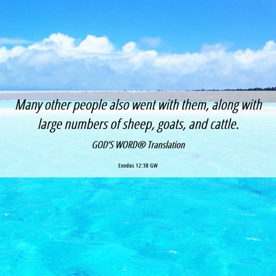 Picture 06 - Exodus 12:38 GW - Many other people also went with them, along with - Bible Verse Picture