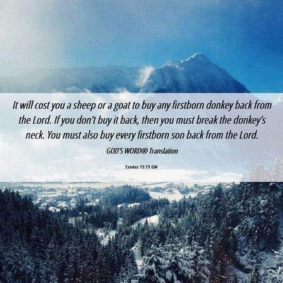Picture 06 - Exodus 13:13 GW - It will cost you a sheep or a goat to buy any - Bible Verse Picture