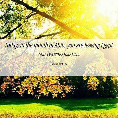 Picture 06 - Exodus 13:4 GW - Today, in the month of Abib, you are leaving - Bible Verse Picture