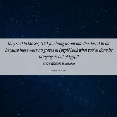 Picture 06 - Exodus 14:11 GW - They said to Moses, “Did you bring us out into - Bible Verse Picture