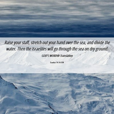 Picture 06 - Exodus 14:16 GW - Raise your staff, stretch out your hand over the - Bible Verse Picture