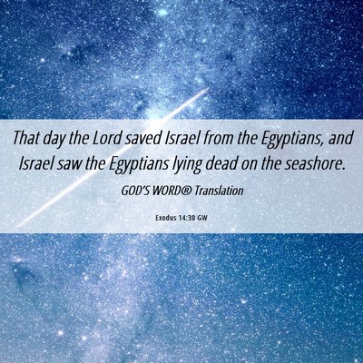Picture 06 - Exodus 14:30 GW - That day the Lord saved Israel from the - Bible Verse Picture