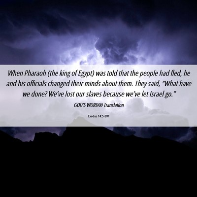 Picture 06 - Exodus 14:5 GW - When Pharaoh (the king of Egypt) was told that - Bible Verse Picture