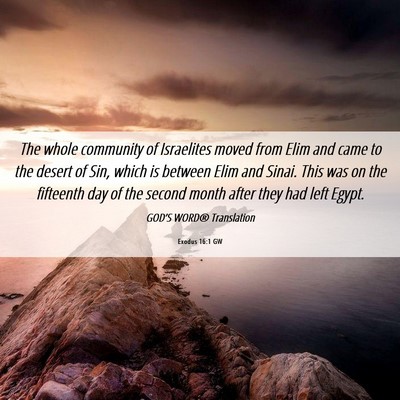 Picture 06 - Exodus 16:1 GW - The whole community of Israelites moved from Elim - Bible Verse Picture