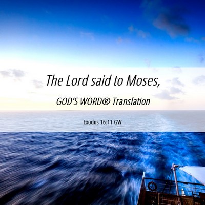 Picture 06 - Exodus 16:11 GW - The Lord said to - Bible Verse Picture