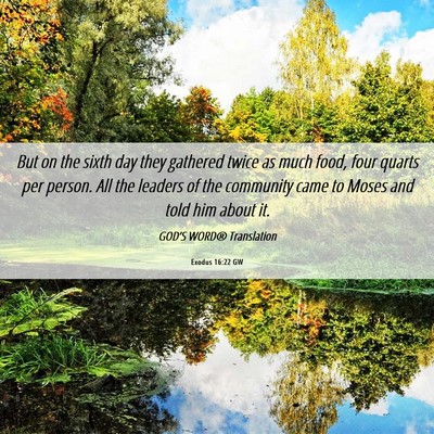 Picture 06 - Exodus 16:22 GW - But on the sixth day they gathered twice as much - Bible Verse Picture