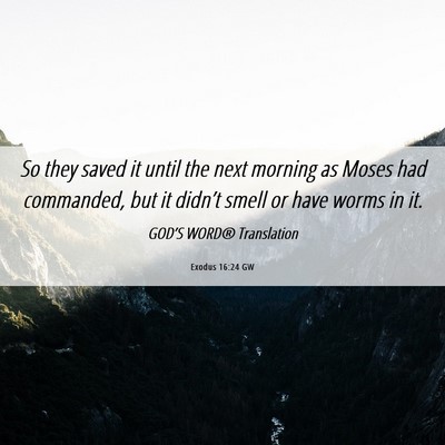 Picture 06 - Exodus 16:24 GW - So they saved it until the next morning as Moses - Bible Verse Picture
