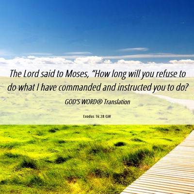 Picture 06 - Exodus 16:28 GW - The Lord said to Moses, “How long will you - Bible Verse Picture