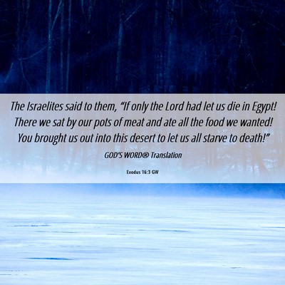 Picture 06 - Exodus 16:3 GW - The Israelites said to them, “If only the Lord - Bible Verse Picture