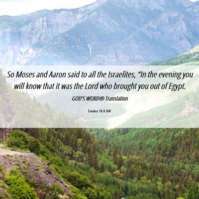 Picture 06 - Exodus 16:6 GW - So Moses and Aaron said to all the Israelites, - Bible Verse Picture
