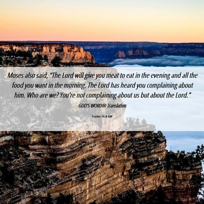 Picture 06 - Exodus 16:8 GW - Moses also said, “The Lord will give you meat - Bible Verse Picture