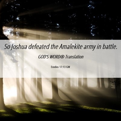 Picture 06 - Exodus 17:13 GW - So Joshua defeated the Amalekite army in - Bible Verse Picture