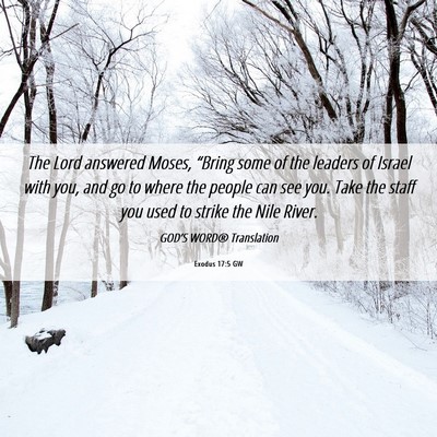 Picture 06 - Exodus 17:5 GW - The Lord answered Moses, “Bring some of the - Bible Verse Picture