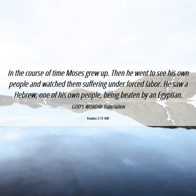 Picture 06 - Exodus 2:11 GW - In the course of time Moses grew up. Then he went - Bible Verse Picture