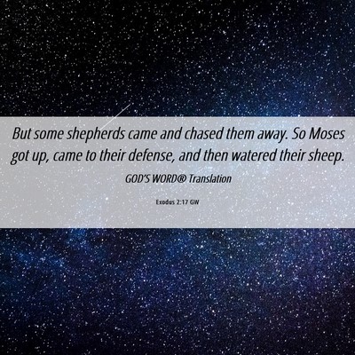 Picture 06 - Exodus 2:17 GW - But some shepherds came and chased them away. So - Bible Verse Picture
