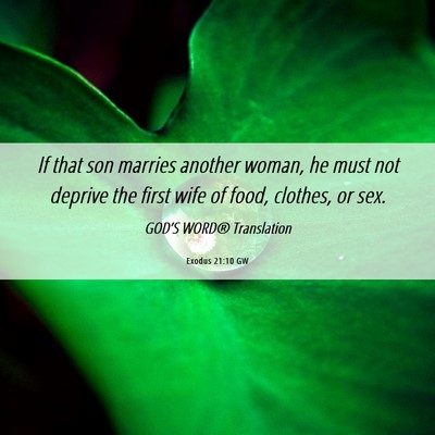 Picture 06 - Exodus 21:10 GW - If that son marries another woman, he must not - Bible Verse Picture