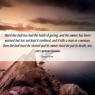 Picture 06 - Exodus 21:29 GW - But if the bull has had the habit of goring, and - Bible Verse Picture