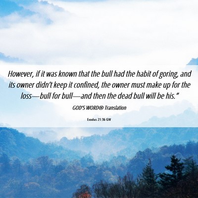Picture 06 - Exodus 21:36 GW - However, if it was known that the bull had the - Bible Verse Picture