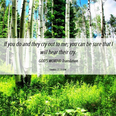 Picture 06 - Exodus 22:23 GW - If you do and they cry out to me, you can be sure - Bible Verse Picture