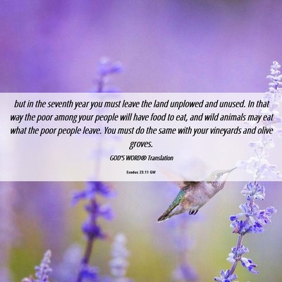 Picture 06 - Exodus 23:11 GW - but in the seventh year you must leave the land - Bible Verse Picture