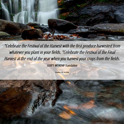 Picture 06 - Exodus 23:16 GW - “Celebrate the Festival of the Harvest with the - Bible Verse Picture