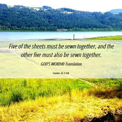 Picture 06 - Exodus 26:3 GW - Five of the sheets must be sewn together, and the - Bible Verse Picture