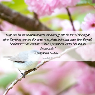 Picture 06 - Exodus 28:43 GW - Aaron and his sons must wear them when they go - Bible Verse Picture