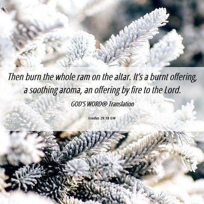Picture 06 - Exodus 29:18 GW - Then burn the whole ram on the altar. It’s a - Bible Verse Picture