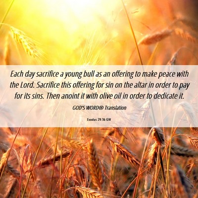 Picture 06 - Exodus 29:36 GW - Each day sacrifice a young bull as an offering to - Bible Verse Picture