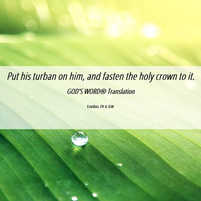Picture 06 - Exodus 29:6 GW - Put his turban on him, and fasten the holy crown - Bible Verse Picture