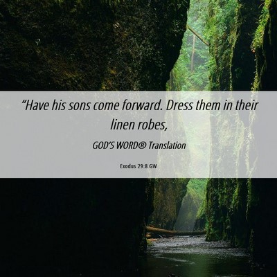 Picture 06 - Exodus 29:8 GW - “Have his sons come forward. Dress them in - Bible Verse Picture