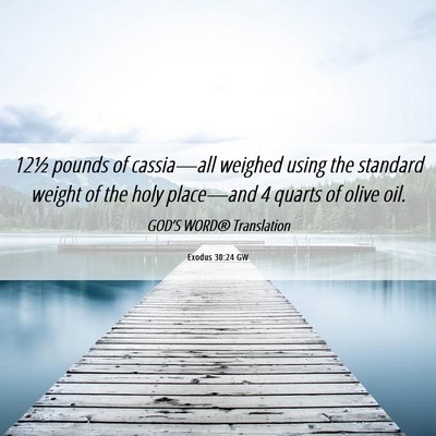 Picture 06 - Exodus 30:24 GW - 12½ pounds of cassia—all weighed using the - Bible Verse Picture