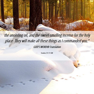 Picture 06 - Exodus 31:11 GW - the anointing oil, and the sweet-smelling incense - Bible Verse Picture
