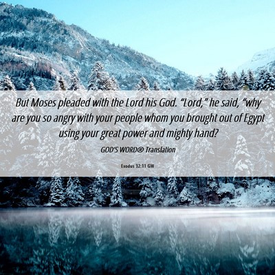 Picture 06 - Exodus 32:11 GW - But Moses pleaded with the Lord his God. - Bible Verse Picture