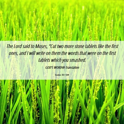 Picture 06 - Exodus 34:1 GW - The Lord said to Moses, “Cut two more stone - Bible Verse Picture