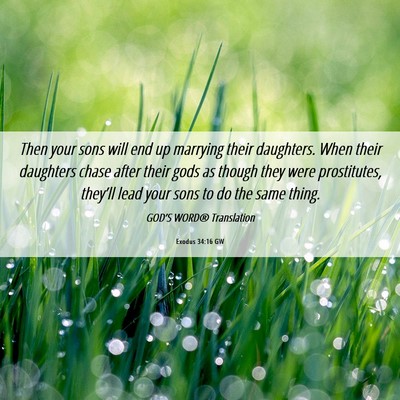 Picture 06 - Exodus 34:16 GW - Then your sons will end up marrying their - Bible Verse Picture