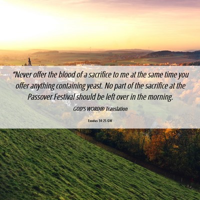 Picture 06 - Exodus 34:25 GW - “Never offer the blood of a sacrifice to me at - Bible Verse Picture