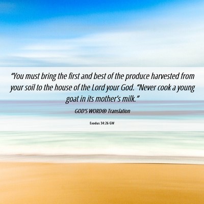 Picture 06 - Exodus 34:26 GW - “You must bring the first and best of the - Bible Verse Picture
