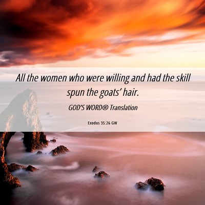 Picture 06 - Exodus 35:26 GW - All the women who were willing and had the skill - Bible Verse Picture