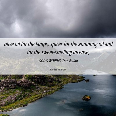 Picture 06 - Exodus 35:8 GW - olive oil for the lamps, spices for the anointing - Bible Verse Picture