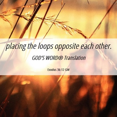 Picture 06 - Exodus 36:12 GW - placing the loops opposite each - Bible Verse Picture
