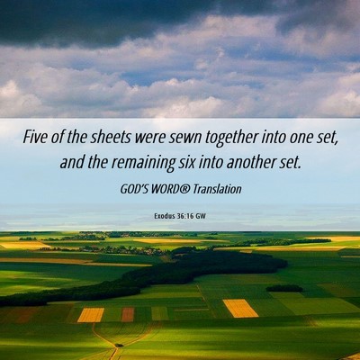 Picture 06 - Exodus 36:16 GW - Five of the sheets were sewn together into one - Bible Verse Picture