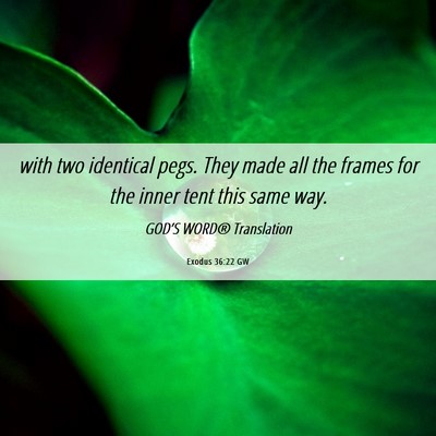 Picture 06 - Exodus 36:22 GW - with two identical pegs. They made all the frames - Bible Verse Picture