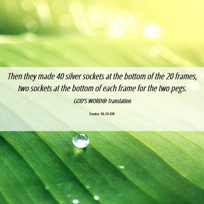 Picture 06 - Exodus 36:24 GW - Then they made 40 silver sockets at the bottom of - Bible Verse Picture