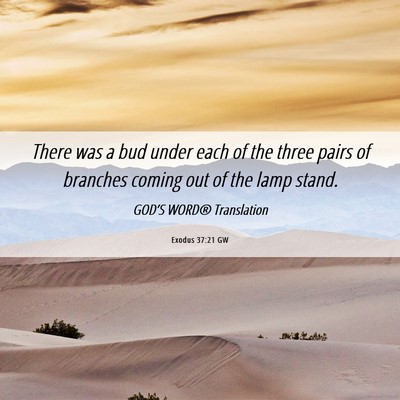 Picture 06 - Exodus 37:21 GW - There was a bud under each of the three pairs of - Bible Verse Picture