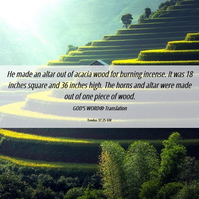Picture 06 - Exodus 37:25 GW - He made an altar out of acacia wood for burning - Bible Verse Picture