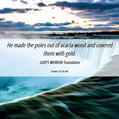 Picture 06 - Exodus 37:28 GW - He made the poles out of acacia wood and covered - Bible Verse Picture